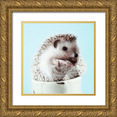 Hedgehog In A Cup Gold Ornate Wood Framed Art Print with Double Matting by SD Graphics Studio