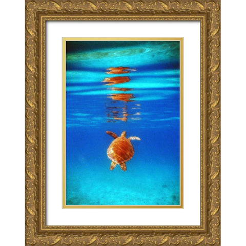View from Below II Gold Ornate Wood Framed Art Print with Double Matting by Mansfield, Kathy