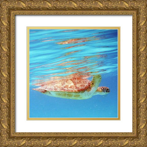Underwater Depths I Gold Ornate Wood Framed Art Print with Double Matting by Mansfield, Kathy