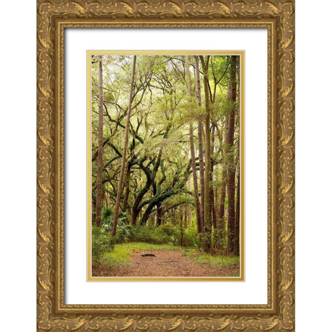 Grand Forest I Gold Ornate Wood Framed Art Print with Double Matting by Mansfield, Kathy