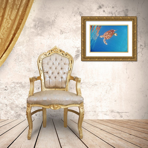 Underwater Depths II Gold Ornate Wood Framed Art Print with Double Matting by Mansfield, Kathy