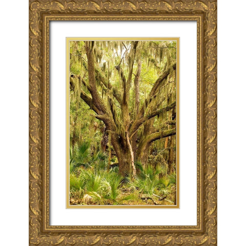 Grand Forest II Gold Ornate Wood Framed Art Print with Double Matting by Mansfield, Kathy
