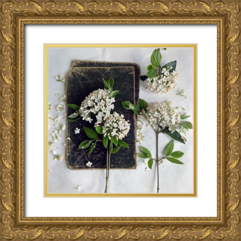 Read in the Garden Square Gold Ornate Wood Framed Art Print with Double Matting by Gardner, sarah