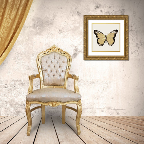 Butterfly of Gold III Gold Ornate Wood Framed Art Print with Double Matting by Medley, Elizabeth