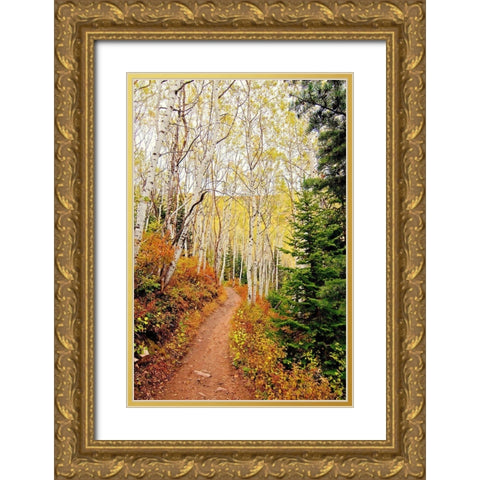 Walk In Christ Gold Ornate Wood Framed Art Print with Double Matting by Nawrocke, Bruce