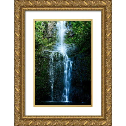 Natural Rain Forest Gold Ornate Wood Framed Art Print with Double Matting by Nawrocke, Bruce