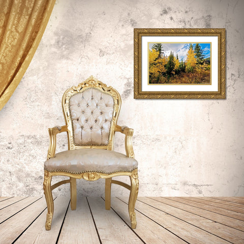 Natures Hidden Treasures I Gold Ornate Wood Framed Art Print with Double Matting by Nawrocke, Bruce