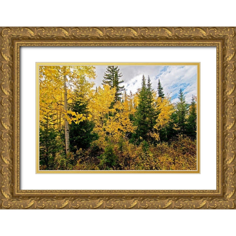 Natures Hidden Treasures II Gold Ornate Wood Framed Art Print with Double Matting by Nawrocke, Bruce