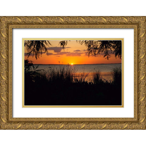 Sunset Seaside Gold Ornate Wood Framed Art Print with Double Matting by ODell, Debbie