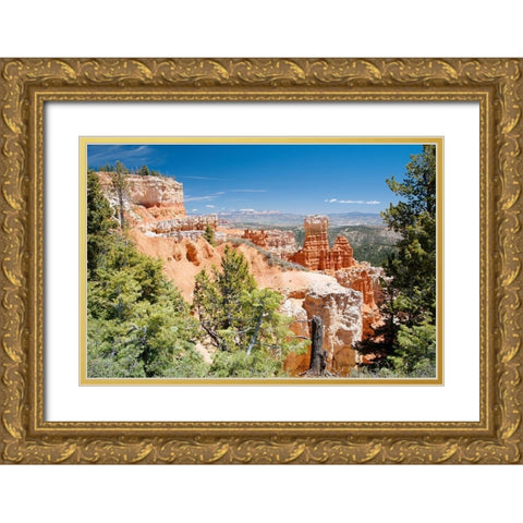 Western Summers Gold Ornate Wood Framed Art Print with Double Matting by ODell, Debbie