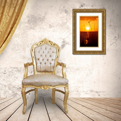 Still Moments Gold Ornate Wood Framed Art Print with Double Matting by ODell, Debbie
