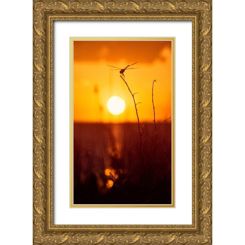 Still Moments Gold Ornate Wood Framed Art Print with Double Matting by ODell, Debbie