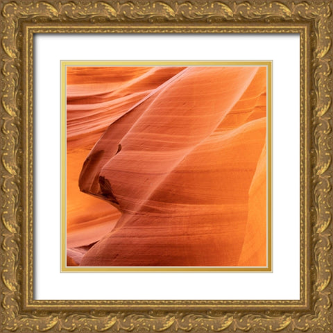 Petrified Sand Mountain II Gold Ornate Wood Framed Art Print with Double Matting by O Dell, Debbie