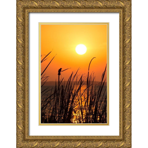 Sunset on the Lake II Gold Ornate Wood Framed Art Print with Double Matting by ODell, Debbie
