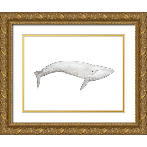 Great Gray Whale Gold Ornate Wood Framed Art Print with Double Matting by SD Graphics Studio