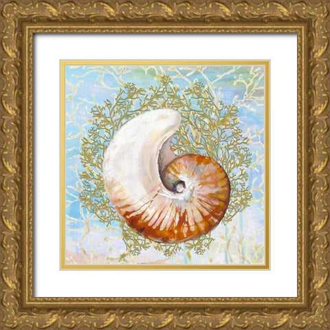 Shell Medley III Gold Ornate Wood Framed Art Print with Double Matting by Diannart