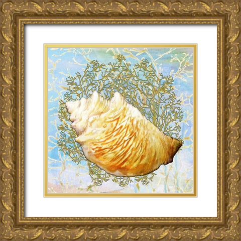 Shell Medley IV Gold Ornate Wood Framed Art Print with Double Matting by Diannart