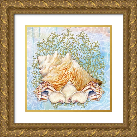 Shell Medley VI Gold Ornate Wood Framed Art Print with Double Matting by Diannart
