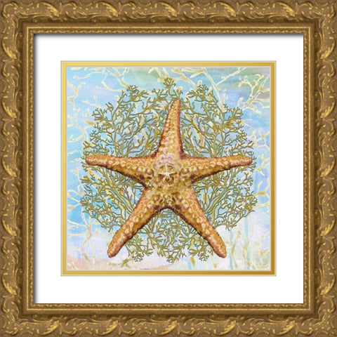 Shell Medley II Gold Ornate Wood Framed Art Print with Double Matting by Diannart