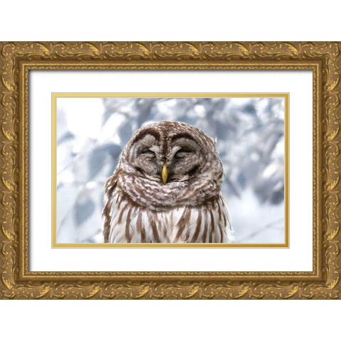 Winter Feathers Gold Ornate Wood Framed Art Print with Double Matting by Mansfield, Kathy