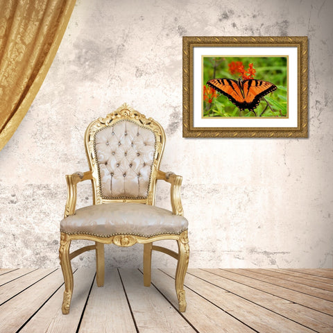 Metallic Butterfly Gold Ornate Wood Framed Art Print with Double Matting by Mansfield, Kathy
