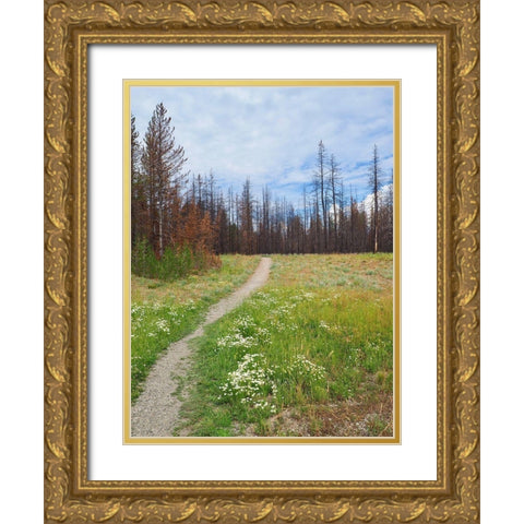 Nature Path Gold Ornate Wood Framed Art Print with Double Matting by Peck, Gail