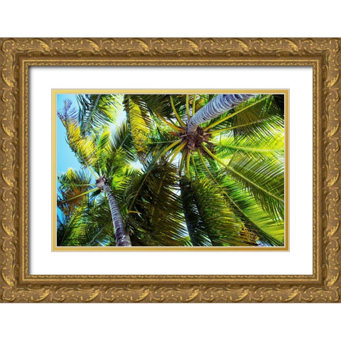 The Shady Spots I Gold Ornate Wood Framed Art Print with Double Matting by Navas, Emily