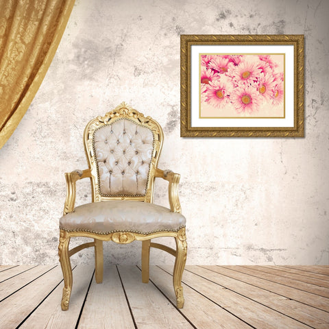 Pink Daisies I Gold Ornate Wood Framed Art Print with Double Matting by Navas, Emily