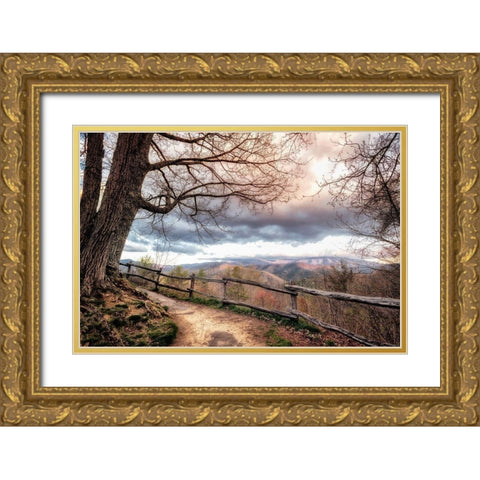 Mountain Walks Gold Ornate Wood Framed Art Print with Double Matting by Amos, Andy