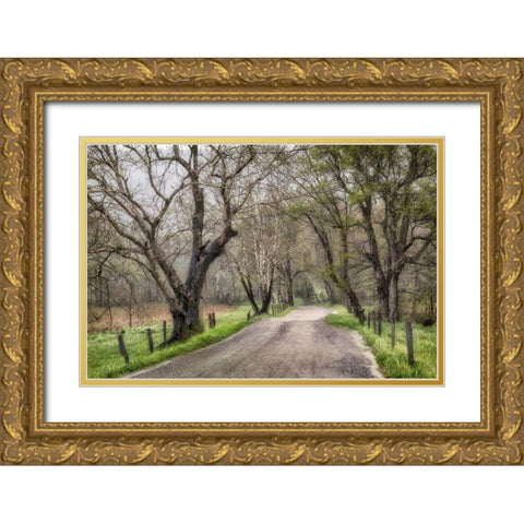 Late Afternoon Walk Gold Ornate Wood Framed Art Print with Double Matting by Amos, Andy