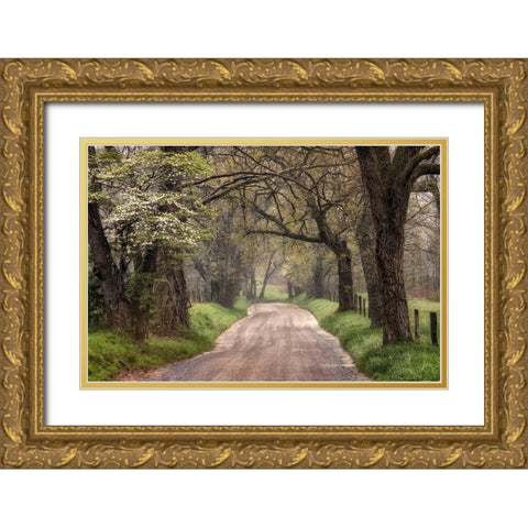 Nature Trail Walks Gold Ornate Wood Framed Art Print with Double Matting by Amos, Andy