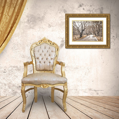 Late Afternoon Walk Gold Ornate Wood Framed Art Print with Double Matting by Amos, Andy