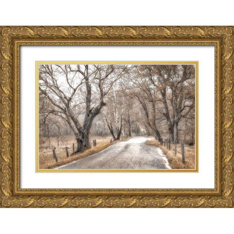 Late Afternoon Walk Gold Ornate Wood Framed Art Print with Double Matting by Amos, Andy