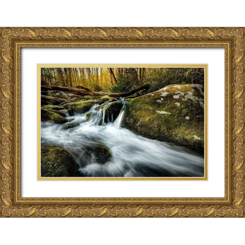 Fallen Timber Gold Ornate Wood Framed Art Print with Double Matting by Amos, Andy