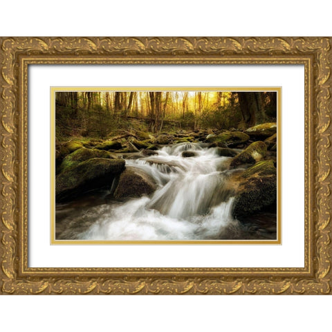 Roaring Fork Gold Ornate Wood Framed Art Print with Double Matting by Amos, Andy
