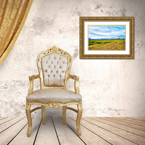 Abandoned Farm Gold Ornate Wood Framed Art Print with Double Matting by Amos, Andy
