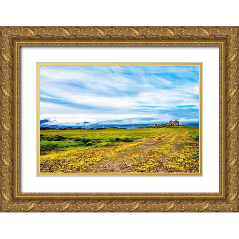 Abandoned Farm Gold Ornate Wood Framed Art Print with Double Matting by Amos, Andy