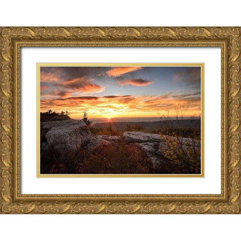 Sunrise in Fall I Gold Ornate Wood Framed Art Print with Double Matting by Amos, Andy