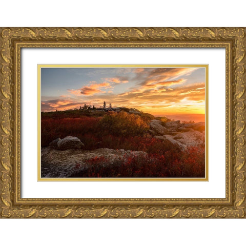 Sunrise in Fall II Gold Ornate Wood Framed Art Print with Double Matting by Amos, Andy