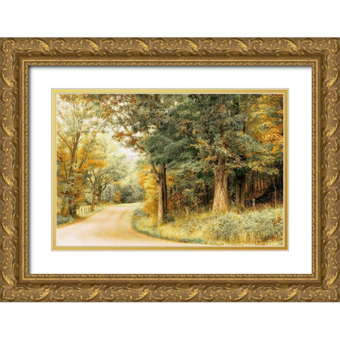 Crisp Season Gold Ornate Wood Framed Art Print with Double Matting by Amos, Andy