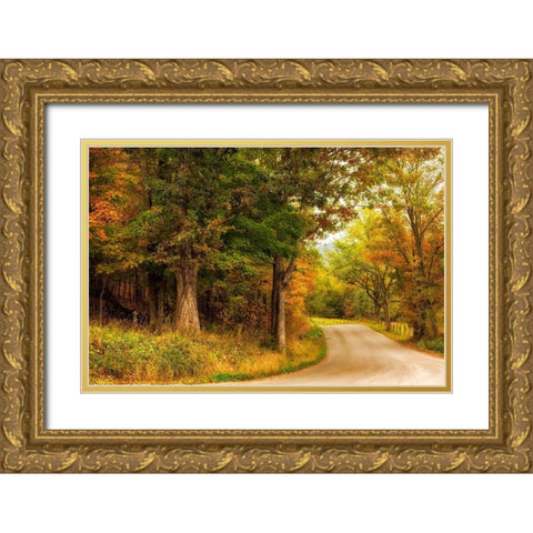 Autumns First Day Gold Ornate Wood Framed Art Print with Double Matting by Amos, Andy