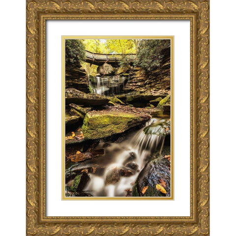 Under the Bridge I Gold Ornate Wood Framed Art Print with Double Matting by Amos, Andy