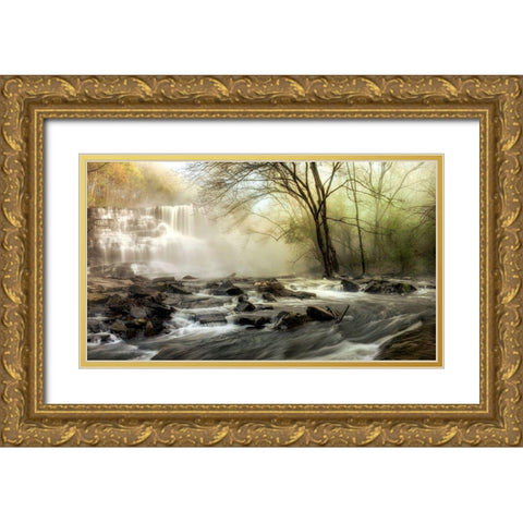 Waterfall Creek Gold Ornate Wood Framed Art Print with Double Matting by Amos, Andy