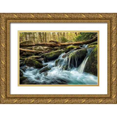 Sticks and Stones Gold Ornate Wood Framed Art Print with Double Matting by Amos, Andy
