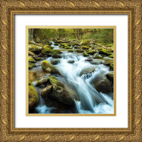 Forest River Gold Ornate Wood Framed Art Print with Double Matting by Amos, Andy