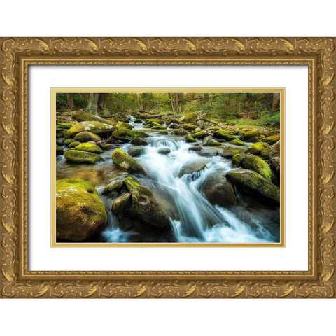 Moss Rocks Gold Ornate Wood Framed Art Print with Double Matting by Amos, Andy