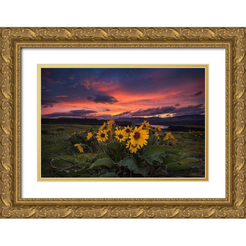 Sunset at the Gorge Gold Ornate Wood Framed Art Print with Double Matting by Amos, Andy
