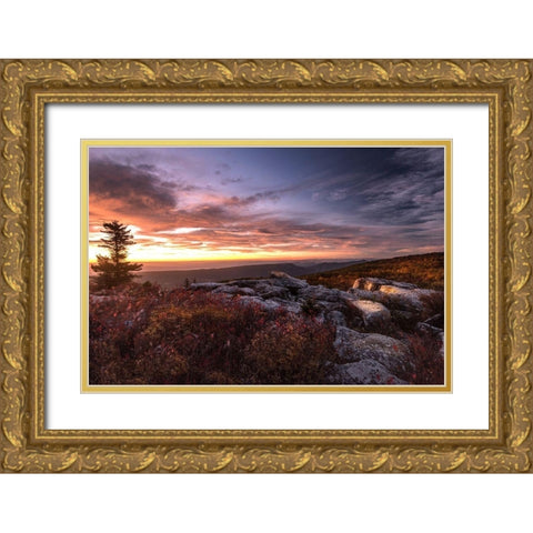 Sunrise in Fall III Gold Ornate Wood Framed Art Print with Double Matting by Amos, Andy