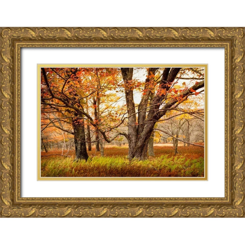 Crossing Paths Gold Ornate Wood Framed Art Print with Double Matting by Amos, Andy