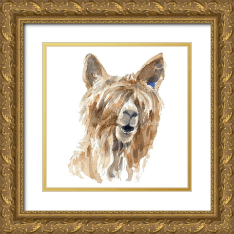 Shaggy Llama Gold Ornate Wood Framed Art Print with Double Matting by Loreth, Lanie